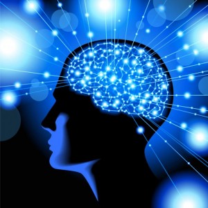 blue-illustration-of-the-human-brain